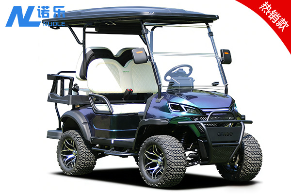 4座观光车(NL-JA2+2G)